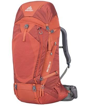 Gregory backpack clearance price